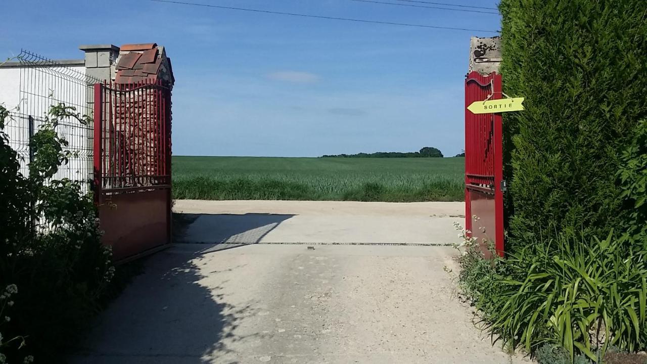 Les Nympheas, Appart Au Calme Et Grand Jardin A 15 Min De Disneyland, Crecy-la-Chapelle Exteriér fotografie