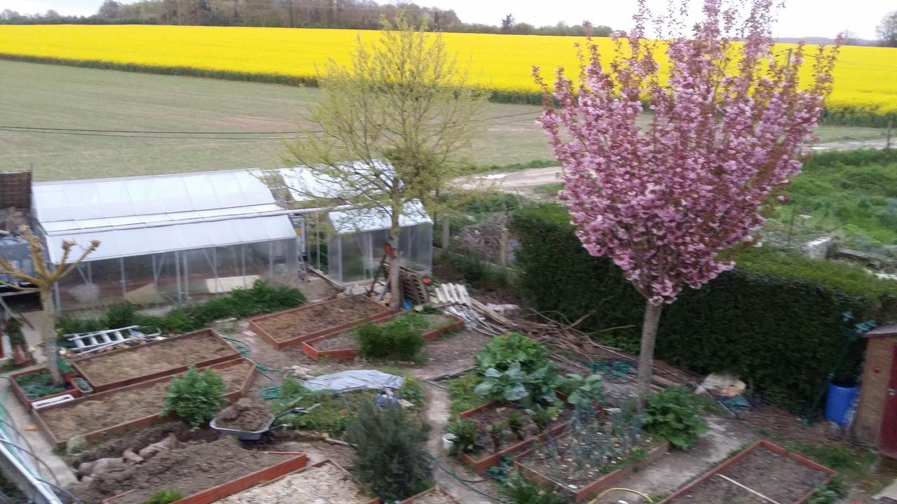 Les Nympheas, Appart Au Calme Et Grand Jardin A 15 Min De Disneyland, Crecy-la-Chapelle Exteriér fotografie